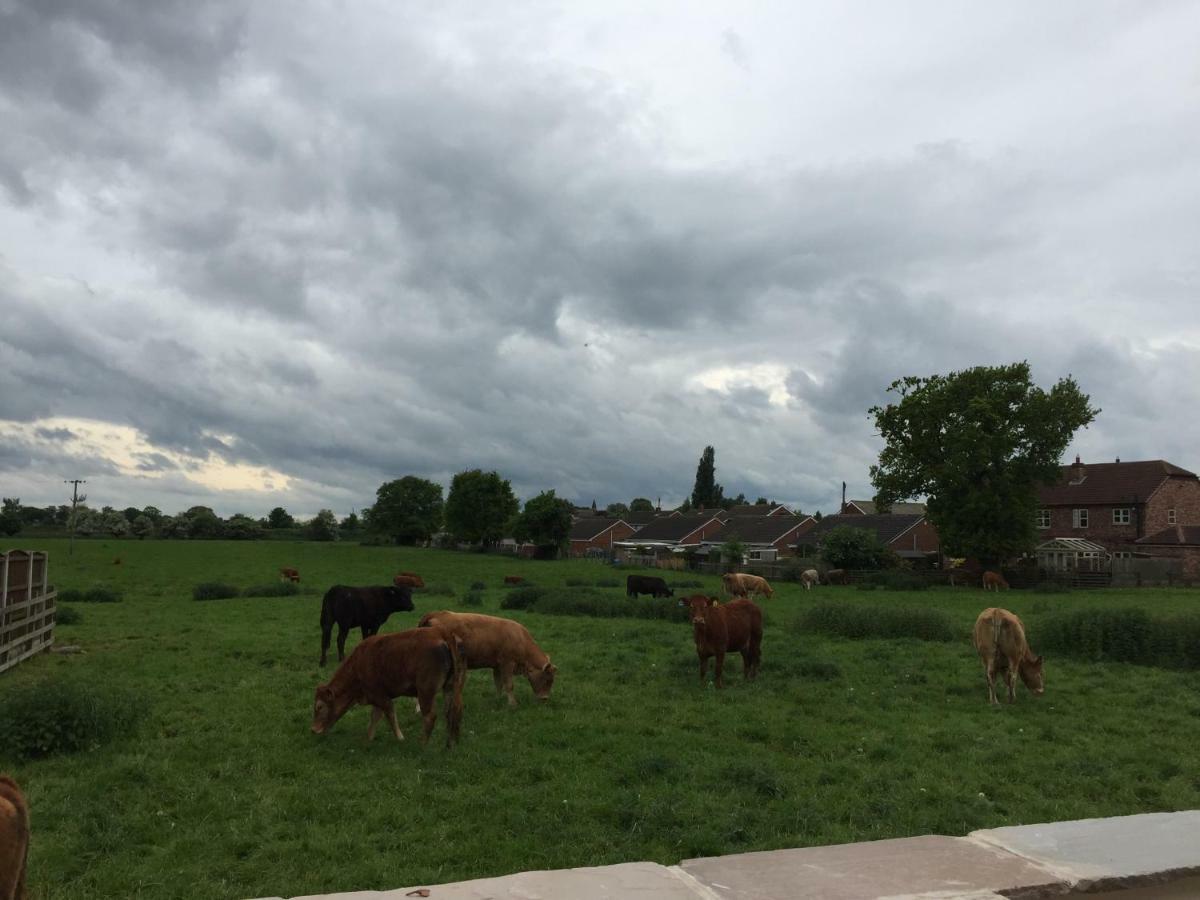 Pollington Fir Tree Barn B&B 외부 사진